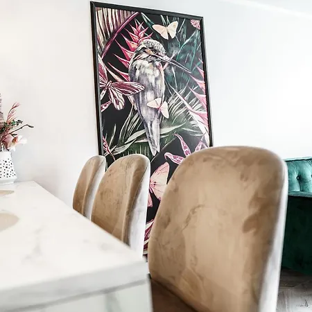 Modern And Stylish- Golden Apartments- Center&g30